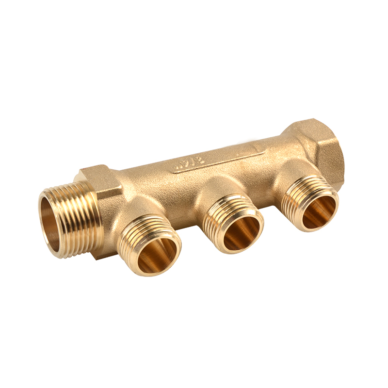 ZS600-8002: Brass Manifold 