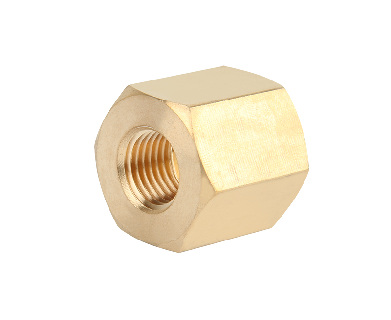 ZS100-1008: Brass Reduce Female Coupling 