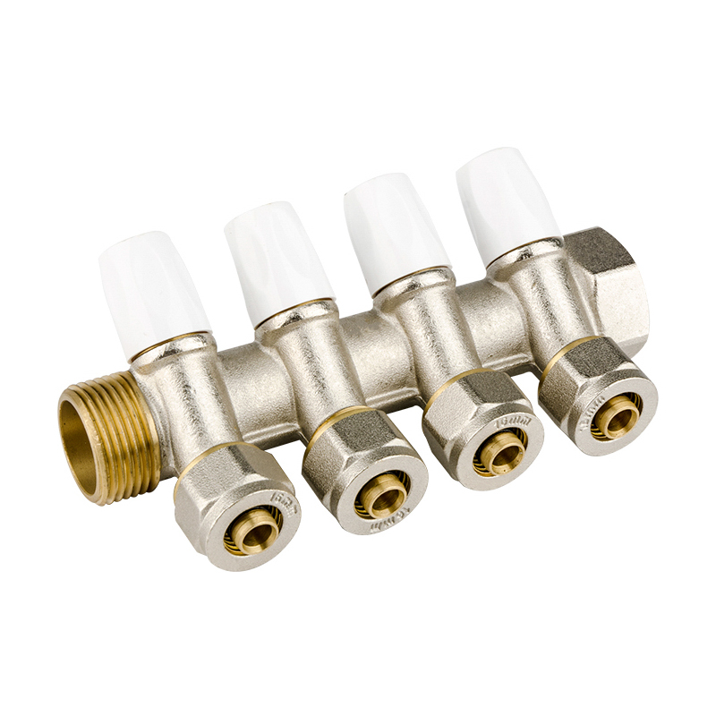 ZS600-8008: Brass Manifold 