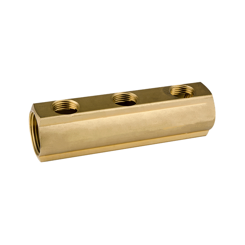 ZS600-8001: Brass Manifold 