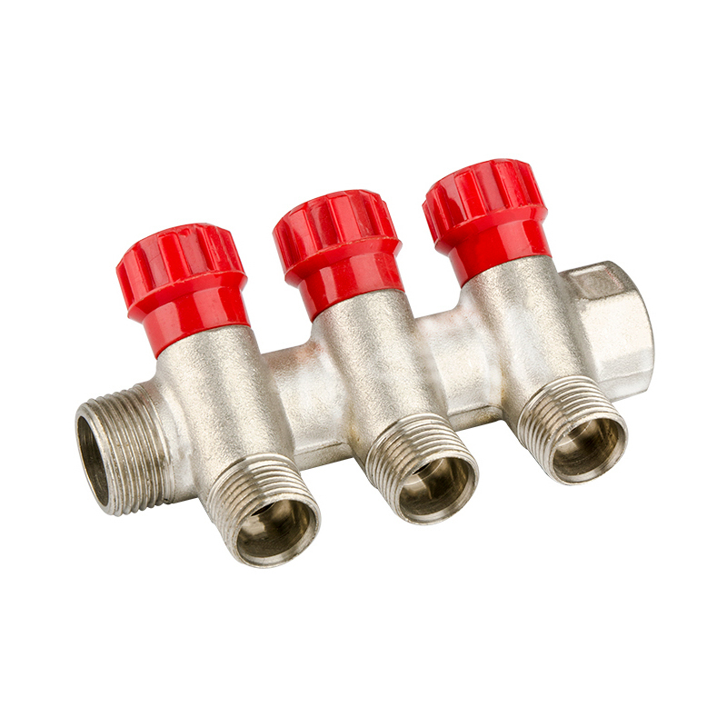 ZS600-8006: Brass Manifold 