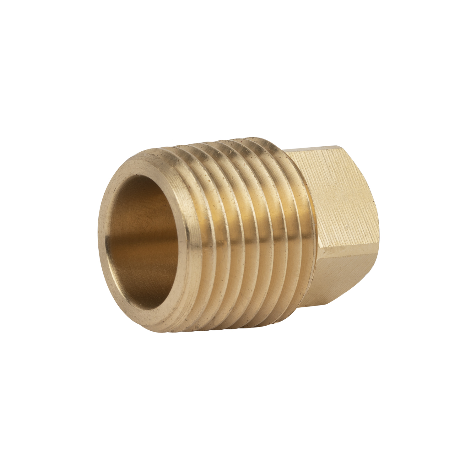 ZS100-1011: Brass Hex Stop Plug 