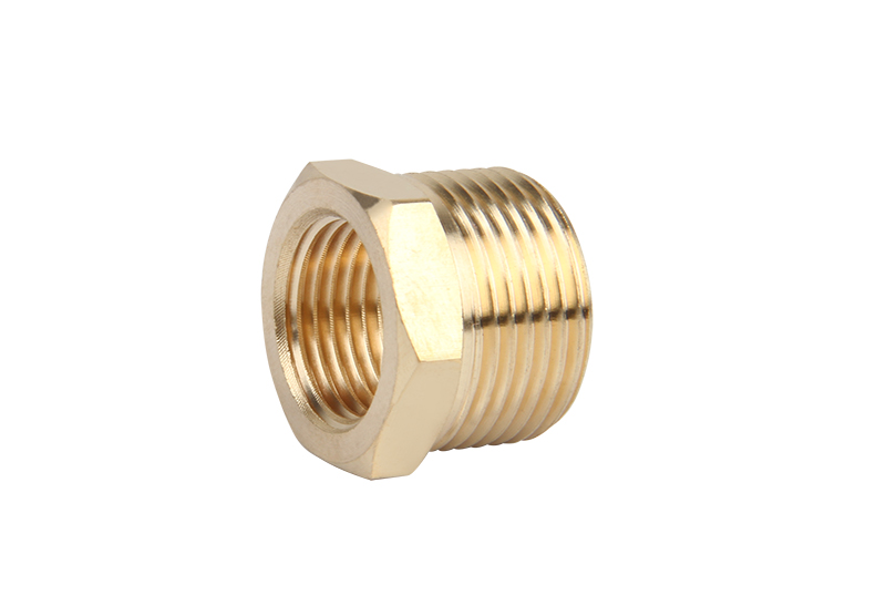ZS100-1010: Brass Reduce Bush 