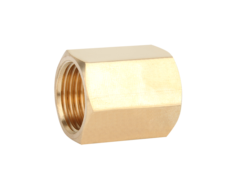 ZS100-1007: Brass Female Coupling 
