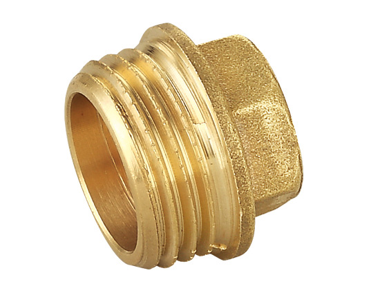 ZS500-1017: Brass Flange Male Cap 