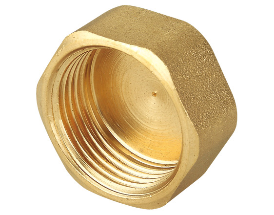 ZS500-1004: Brass Hexagonal Female Cap 