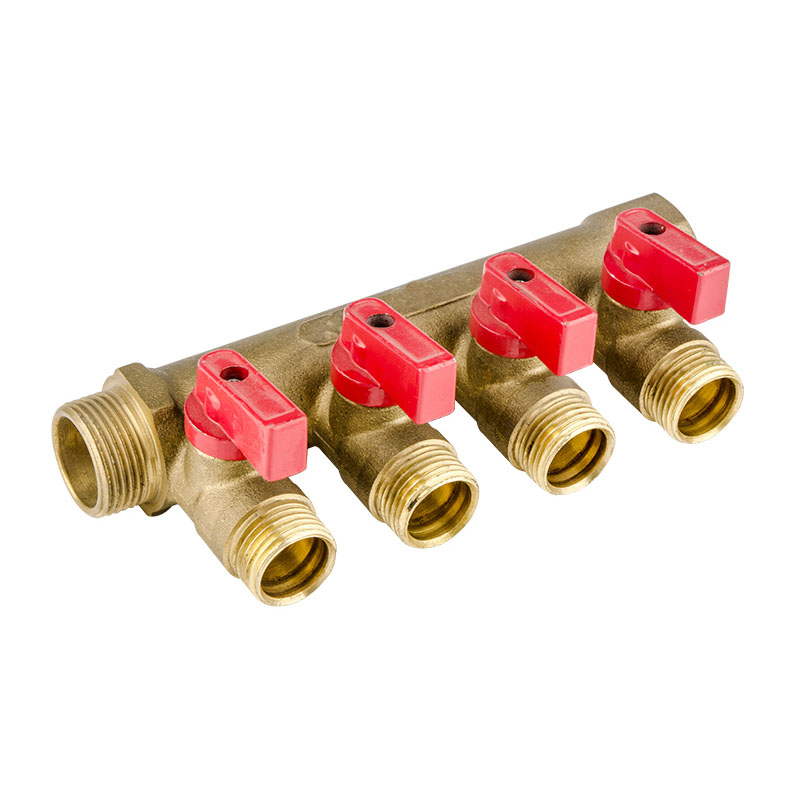 ZS600-8004: Brass Manifold 